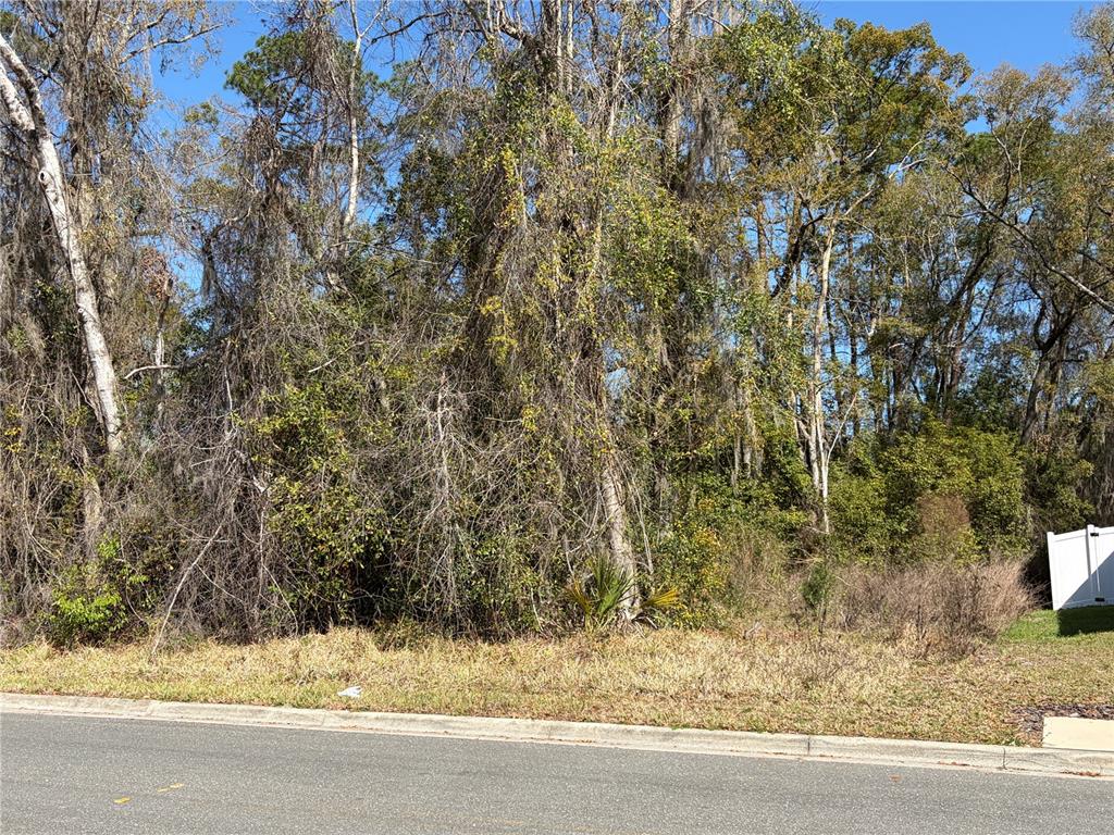 1908 Northeast 7th Avenue Gainesville, FL 32641 - Photo 2 of 6
