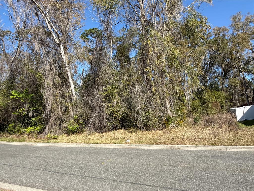 1908 Northeast 7th Avenue Gainesville, FL 32641 - Photo 3 of 6