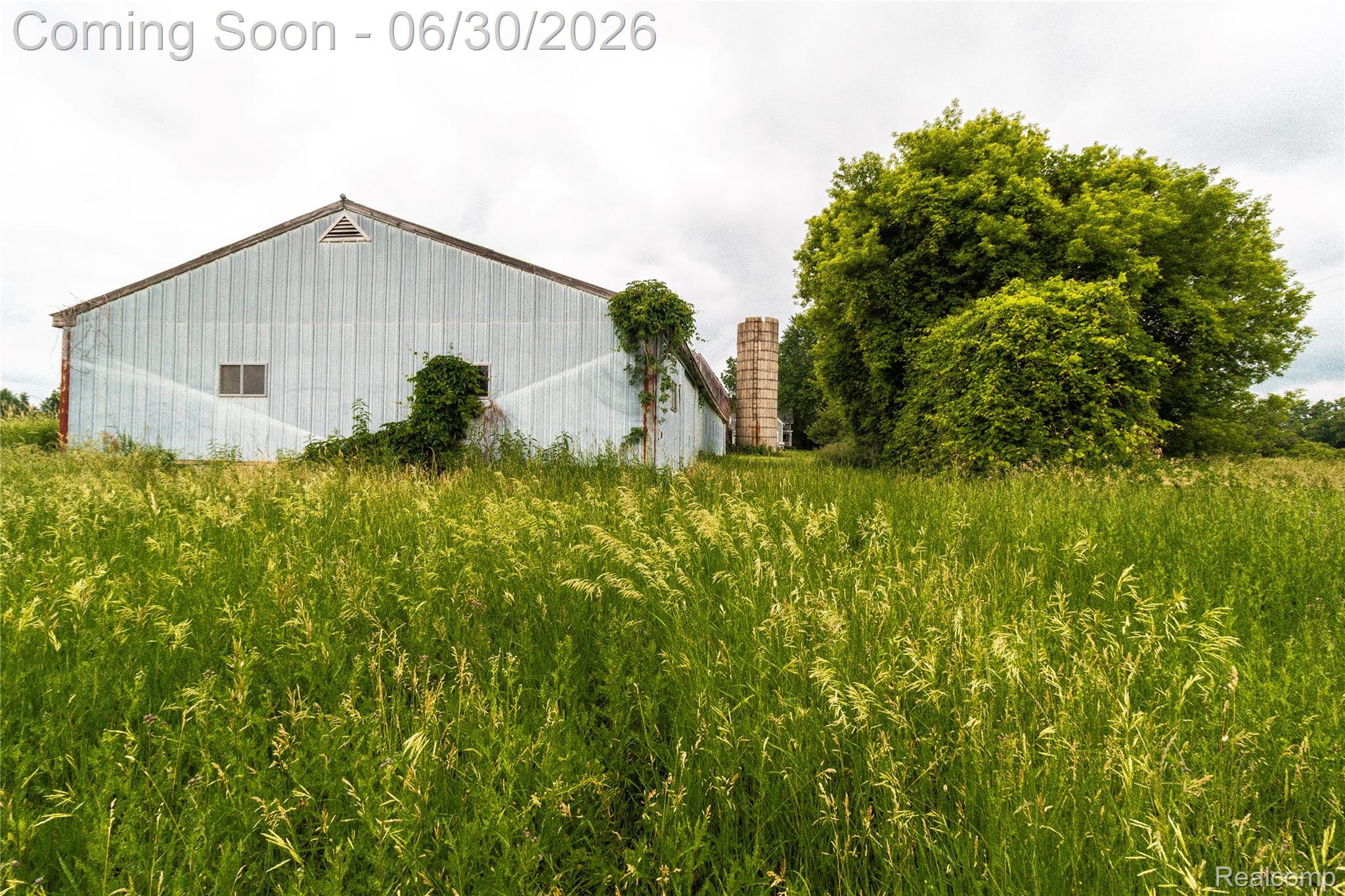 8150 Norman Road Imlay City, MI 48444 - Photo 51 of 58 24-IMG_6701.jpg