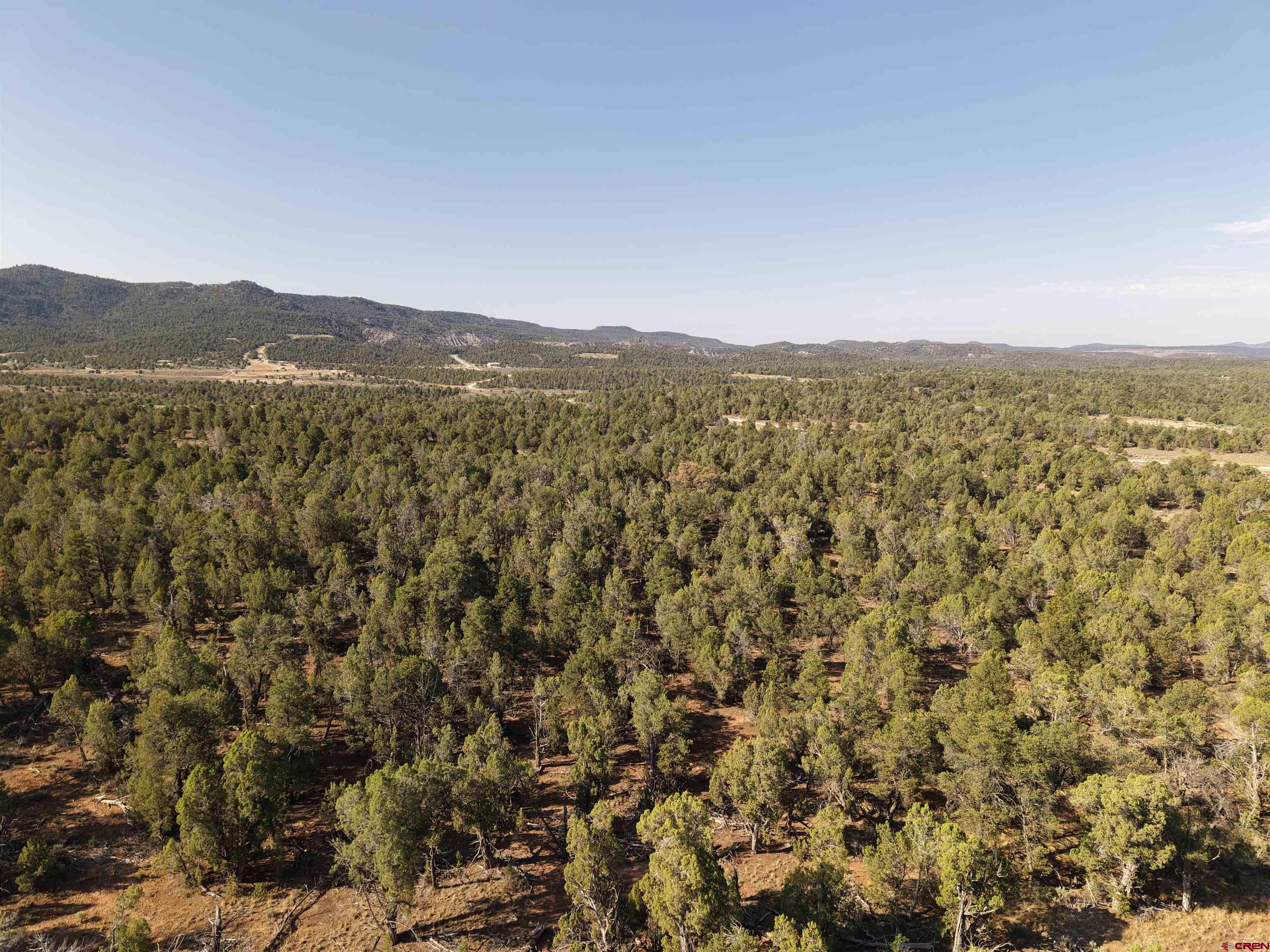 310 Ignacio Co 81137 Ignacio, CO 81137 - Photo 5 of 25