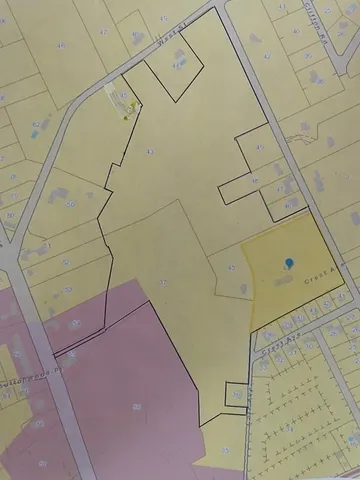 a view of a forest with a tree