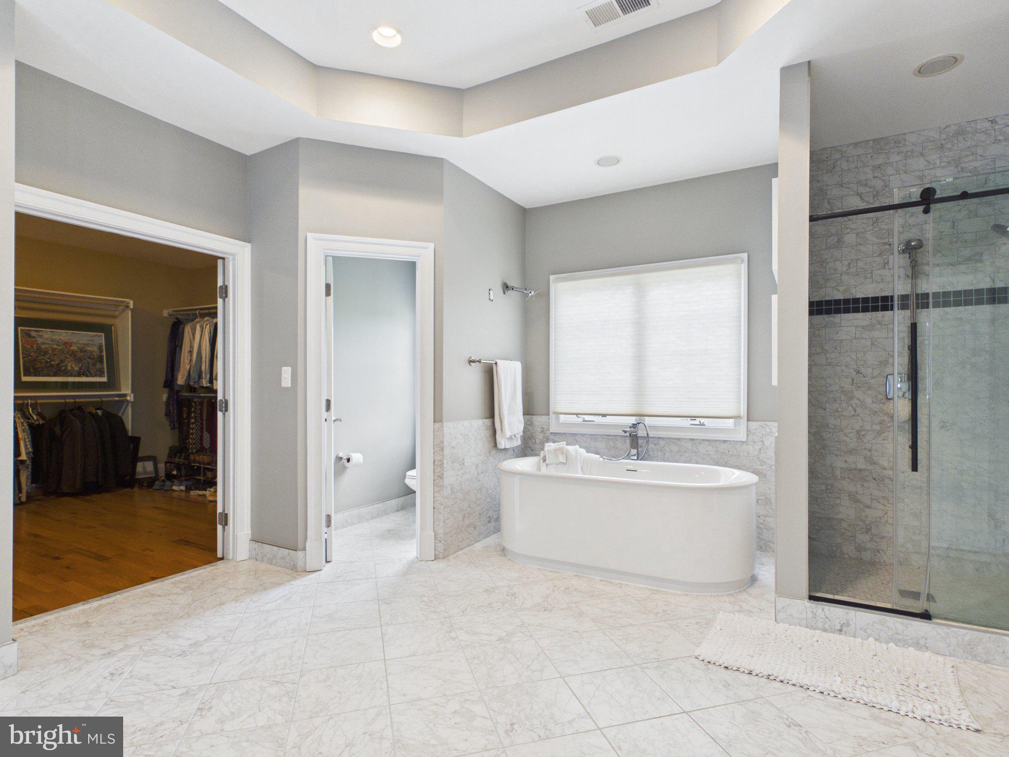 38565 Piggott Bottom Road Hamilton, VA 20158 - Photo 44 of 85 Luxurious spa-like bathroom retreat.