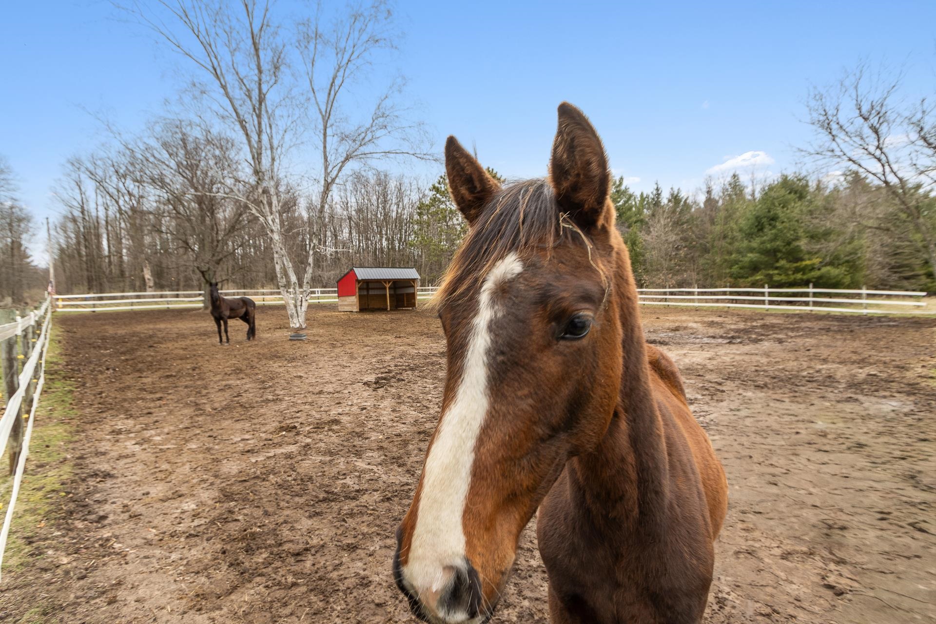 1135 County Rd K Wisconsin Dells, WI 53965 - Photo 76 of 81