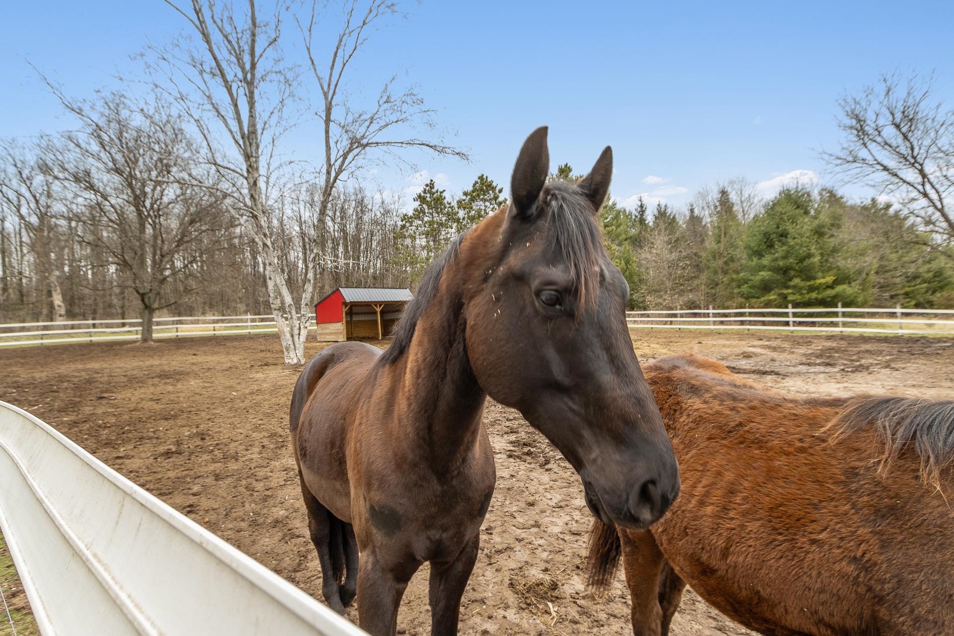 1135 County Rd K Wisconsin Dells, WI 53965 - Photo 77 of 81