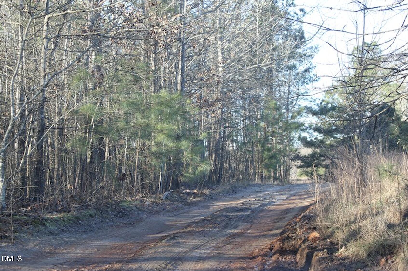 0 Martin Pond Road Wendell, NC 27591 - Photo 4 of 4 pathview