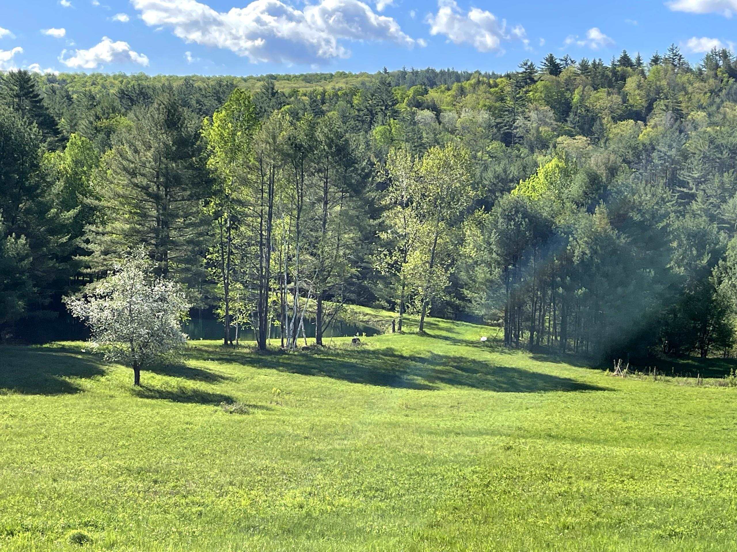 80 Norford Lake Road Norwich, VT 05055 - Photo 53 of 60
