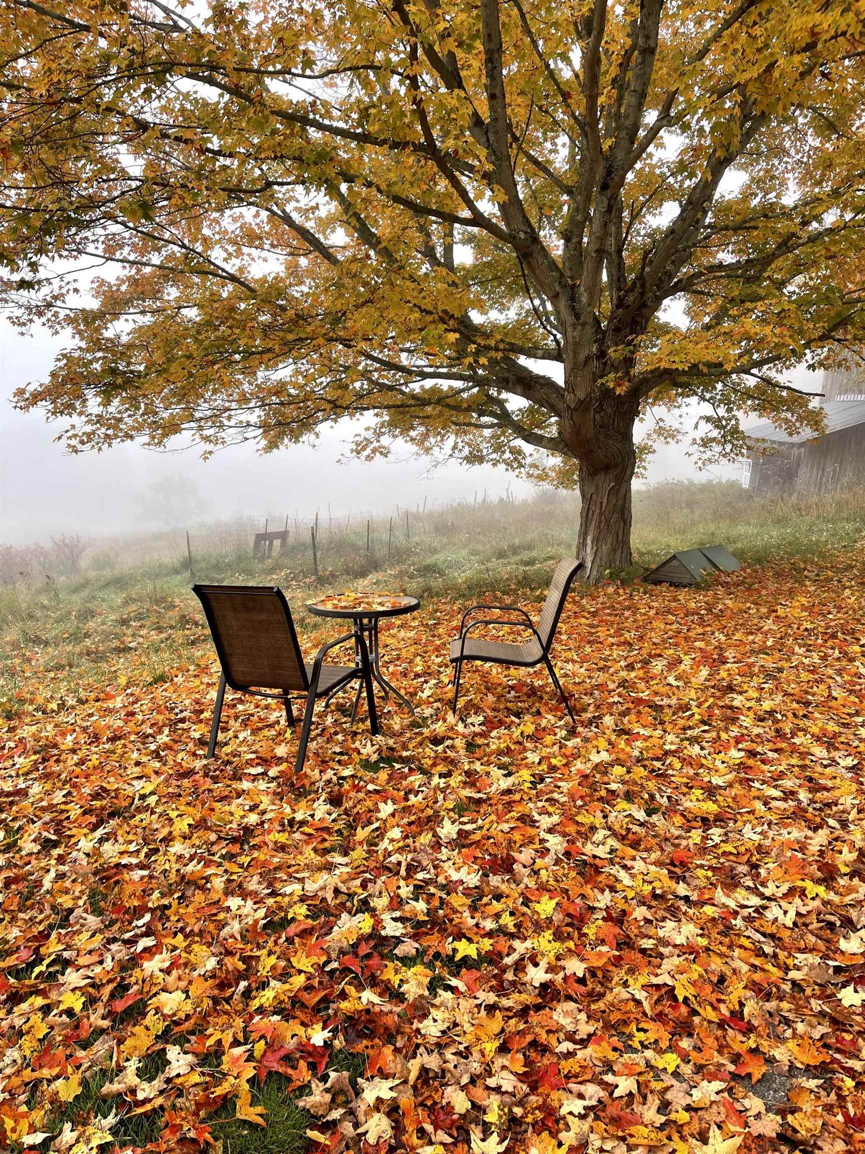 80 Norford Lake Road Norwich, VT 05055 - Photo 54 of 60