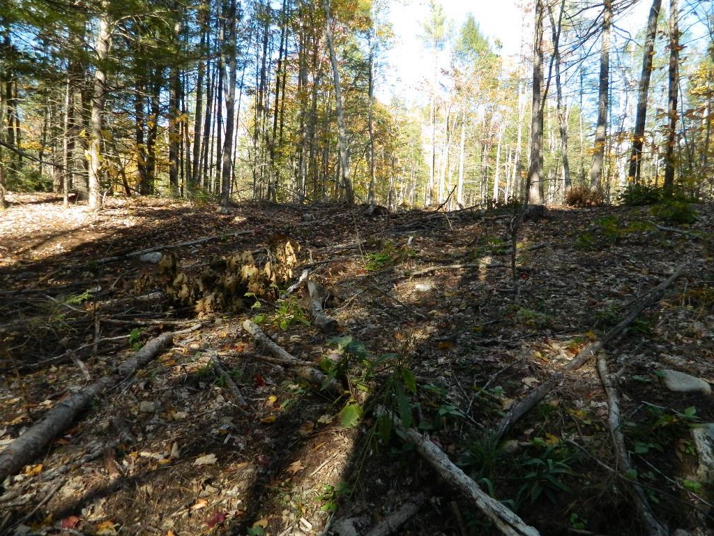 125 Douglas Mill Road Porter, ME 04068 - Photo 10 of 15 Photo