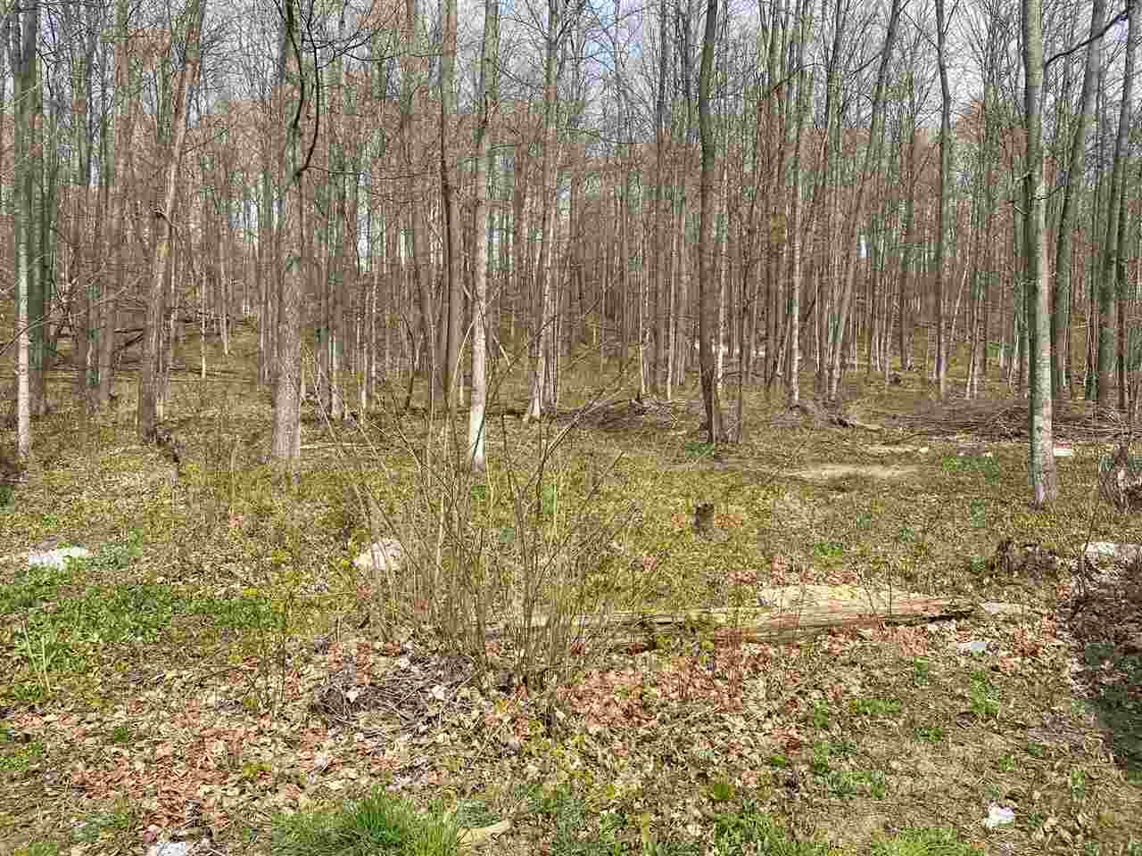 11200 Fewins Road Honor, MI 49640 - Photo 6 of 19 1882978-5.JPG