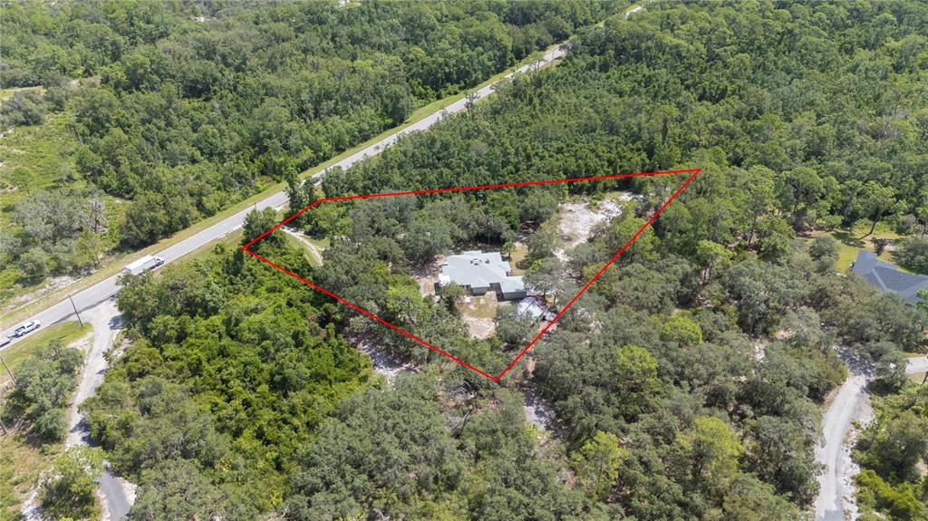 900 Highway 630 East Frostproof, FL 33843 - Photo 51 of 56 a view of a lush green forest with a building
