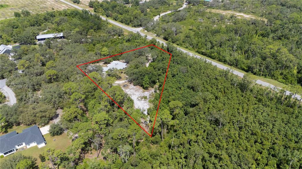 900 Highway 630 East Frostproof, FL 33843 - Photo 52 of 56 a view of a forest with a tree