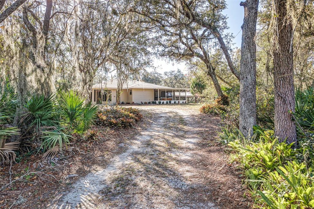 900 Highway 630 East Frostproof, FL 33843 - Photo 54 of 56 a view of a house with large trees and plants