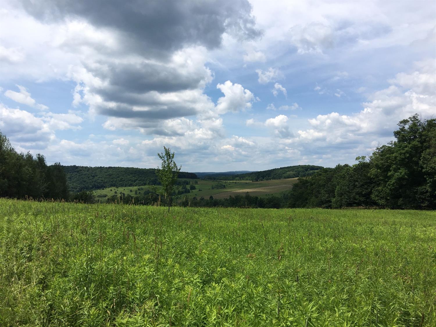 0 Fish Hollow Road Walton, NY 13856 - Photo 1 of 1 Gallery Image 1