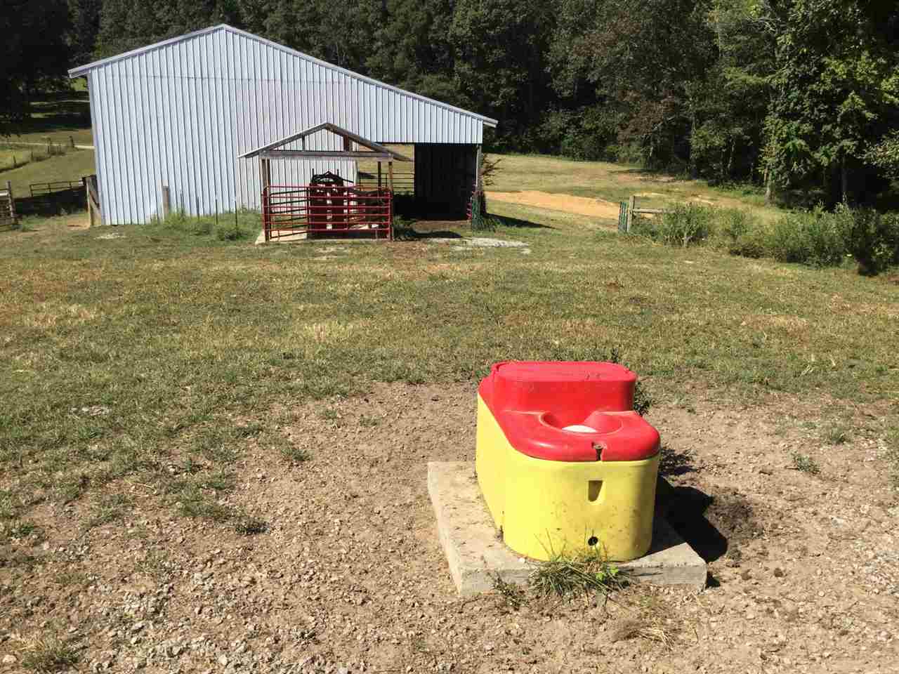 1533 Cool Springs Road Morgantown, KY 42261 - Photo 11 of 21 Gallery Image 11