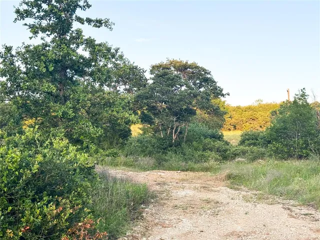 $44,500 | Lot 149 Hidden Shores Drive, Cisco, TX 76437