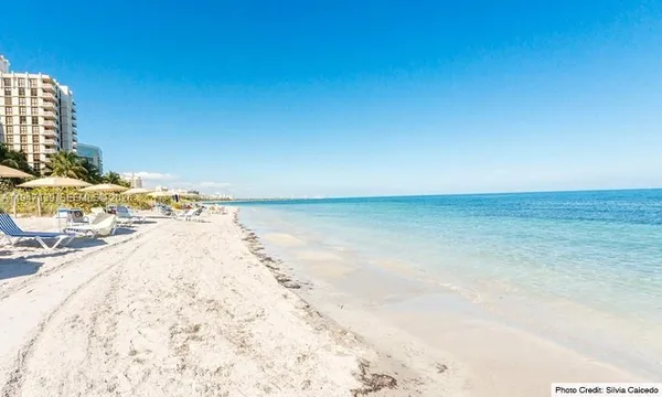 a dining room with furniture a rug and wooden floor