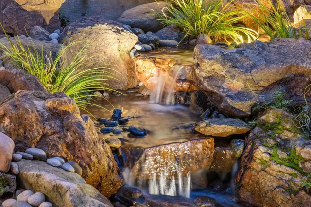 a vase of flowers sitting on a table
