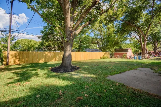 a view of a yard with a tree