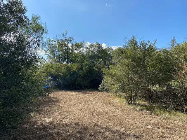 a view of mountain view with trees in background