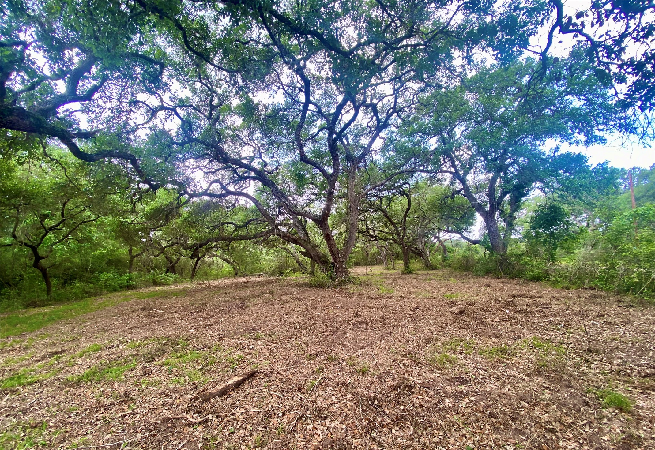 Tbd Loose Cow Road Garwood, TX 77442 - Photo 4 of 15