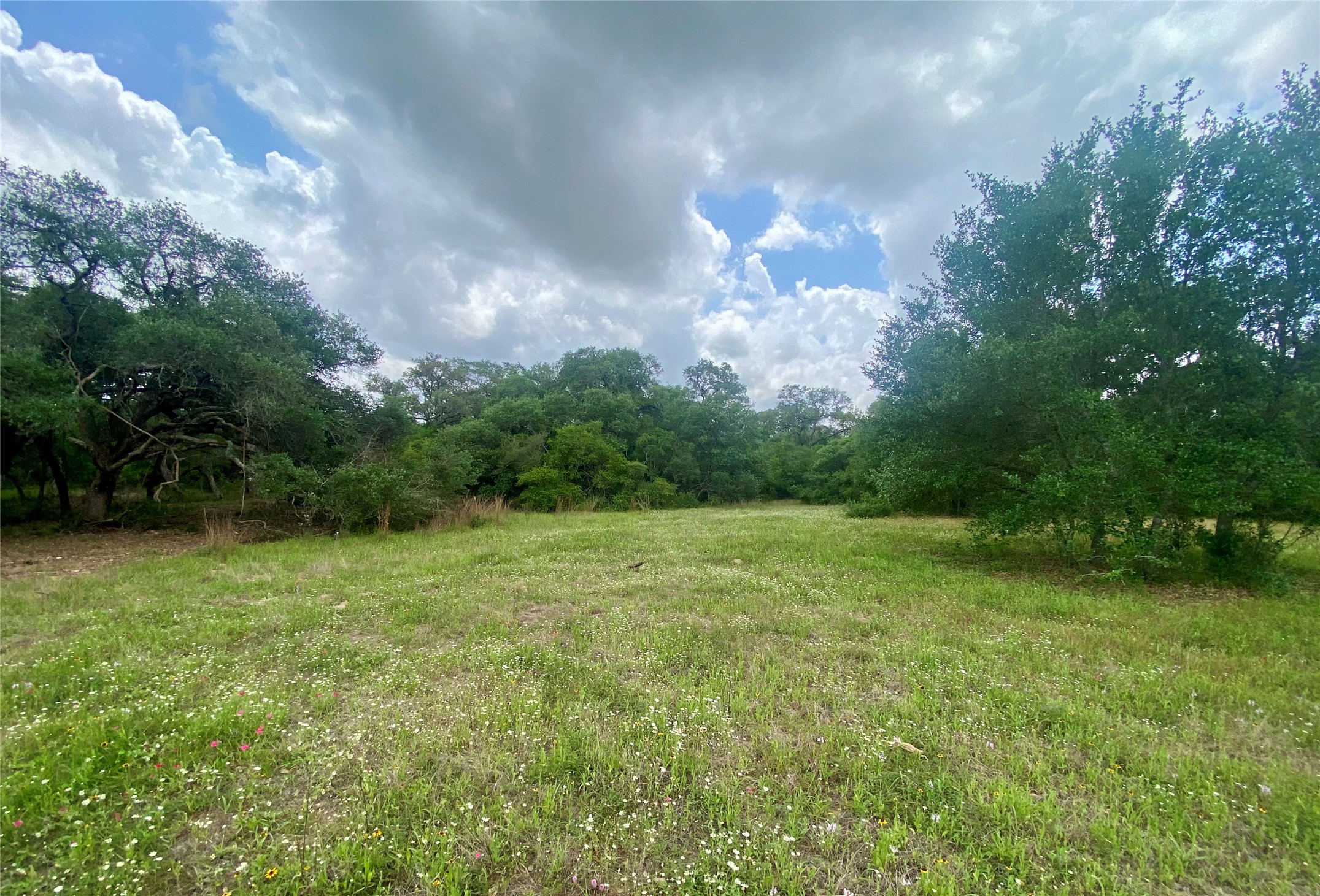 Tbd Loose Cow Road Garwood, TX 77442 - Photo 7 of 15