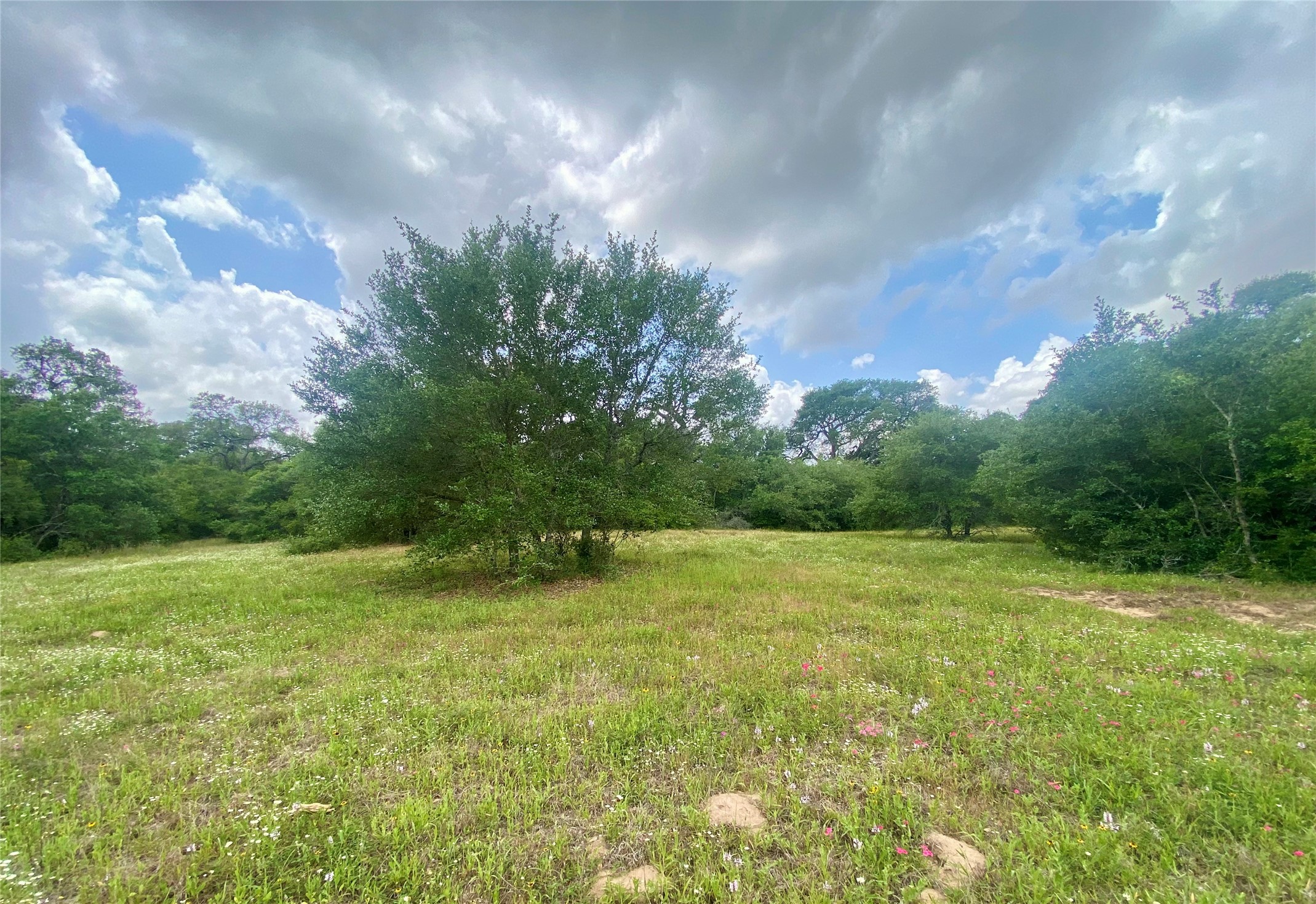 Tbd Loose Cow Road Garwood, TX 77442 - Photo 8 of 15