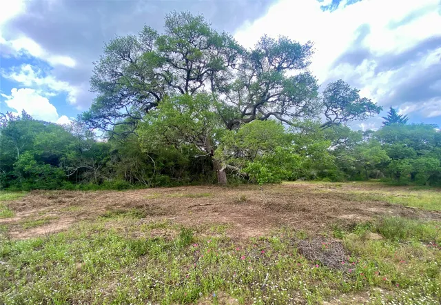 a view of a field with trees in the background