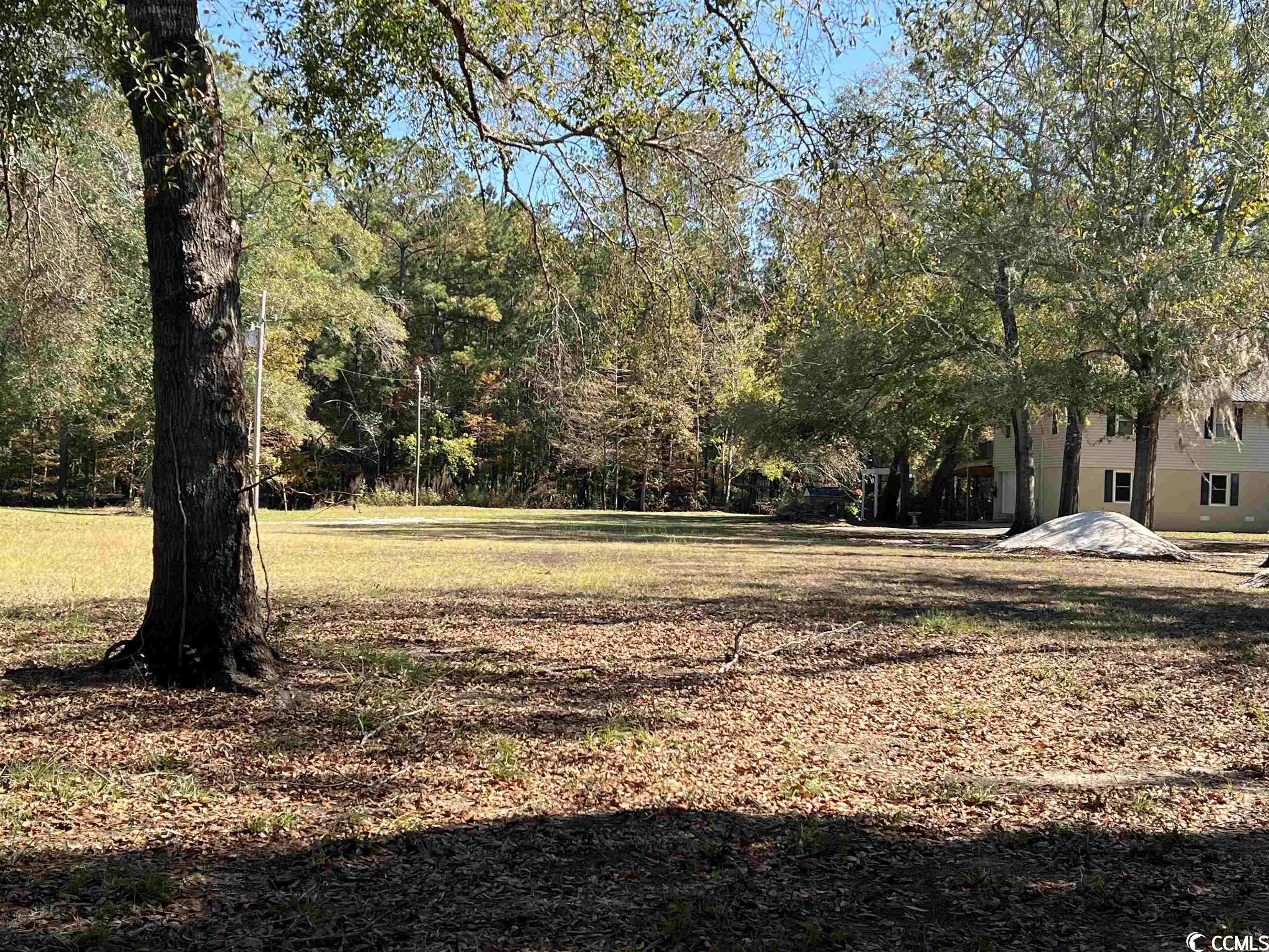 1956 Lees Landing Circle Conway, SC 29526 - Photo 3 of 6