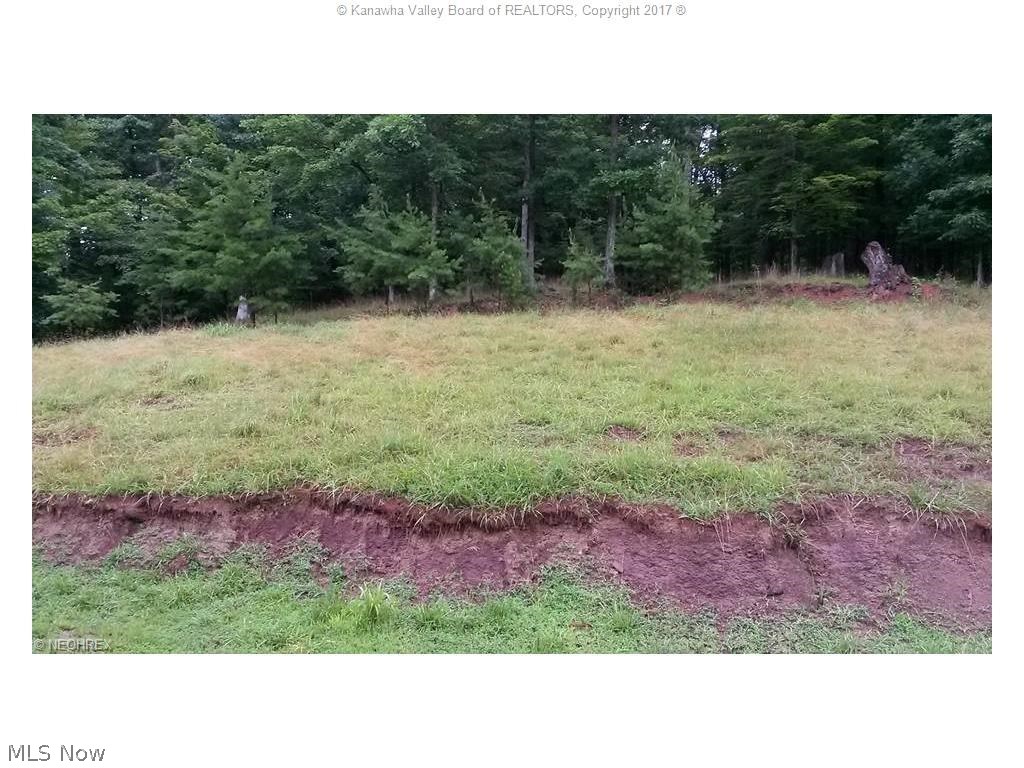 1818 Noble Ridge Road Reedy, WV 25270 - Photo 3 of 13