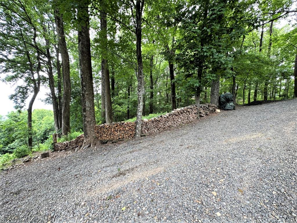 972 Rhododendron Road Hillsville, VA 24343 - Photo 61 of 75 Gallery Image 61