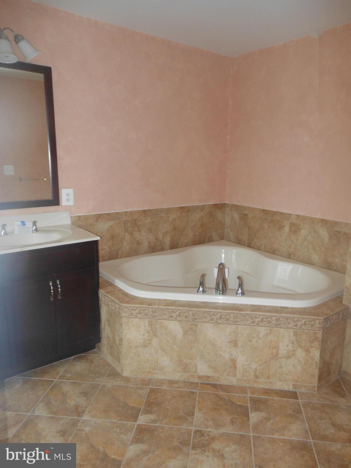 7631 Elmcrest Road Hanover, MD 21076 - Photo 10 of 15 Bath (Master)-photo one