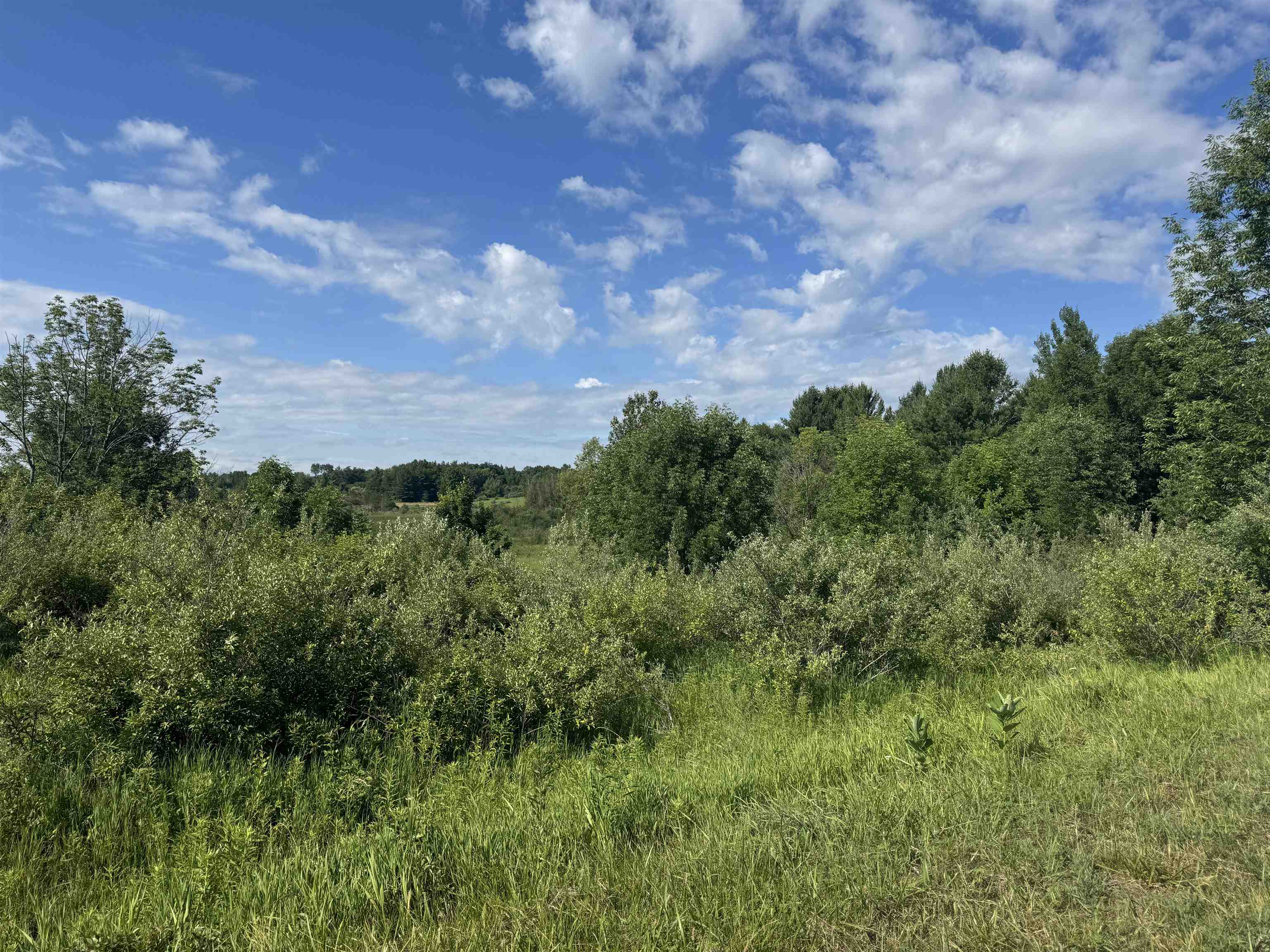 South Lakeview Court Road Gladwin, MI 48624 - Photo 2 of 12
