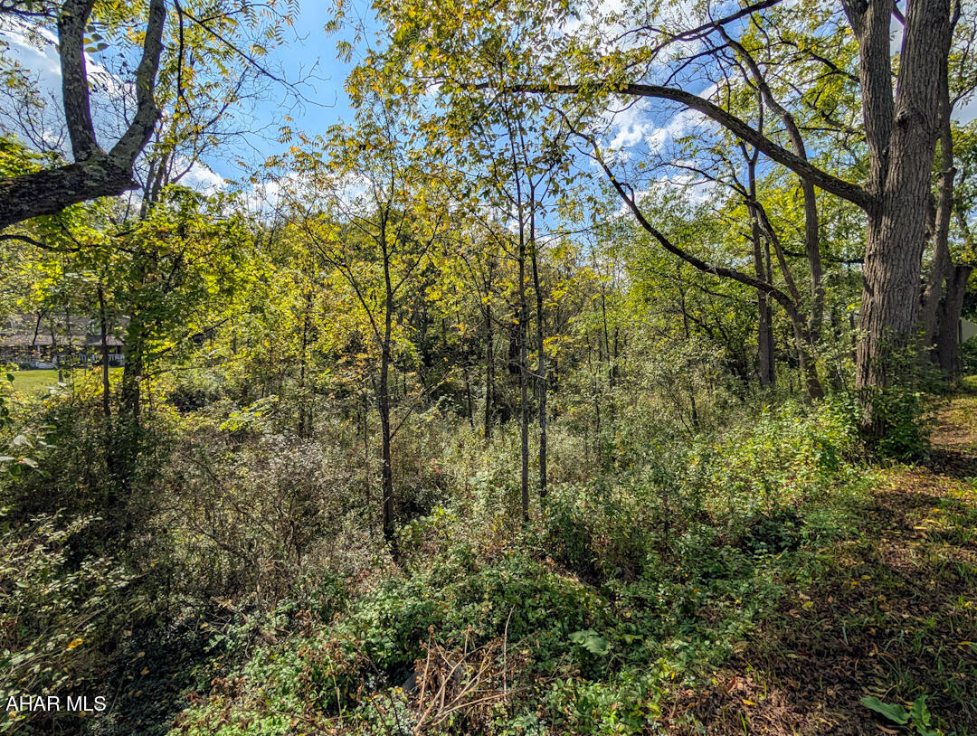 0 Chalybeate Road Bedford, PA 15522 - Photo 4 of 10