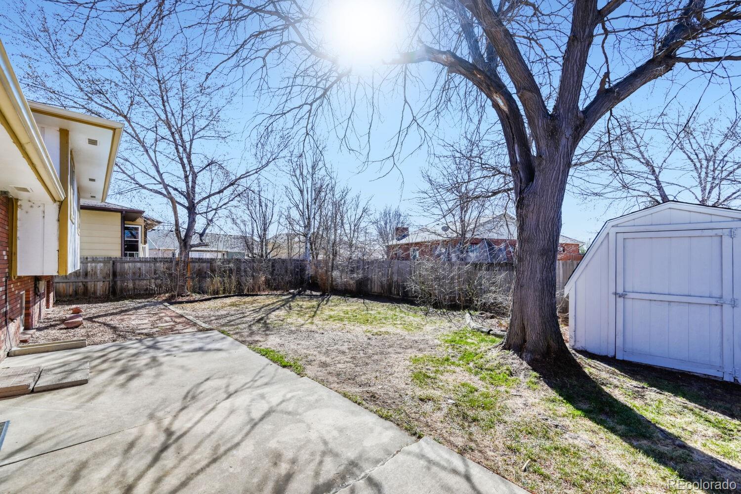 430 Elizabeth Street Fort Lupton, CO 80621 - Photo 23 of 30 a pathway of a house with backyard and trees