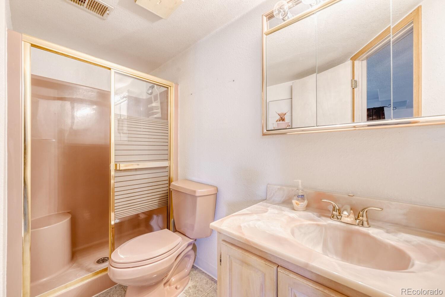 430 Elizabeth Street Fort Lupton, CO 80621 - Photo 7 of 30 a bathroom with a toilet a sink and a mirror