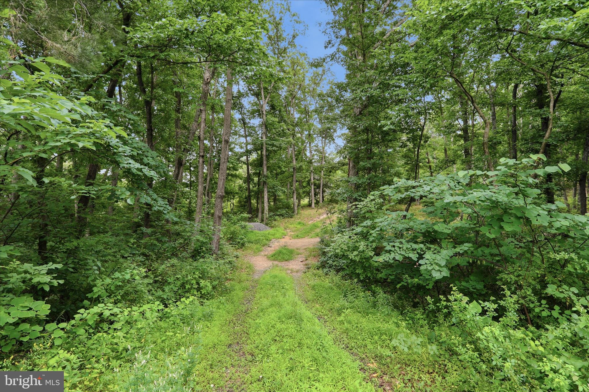 Messick Road Strasburg, VA 22657 - Photo 10 of 22