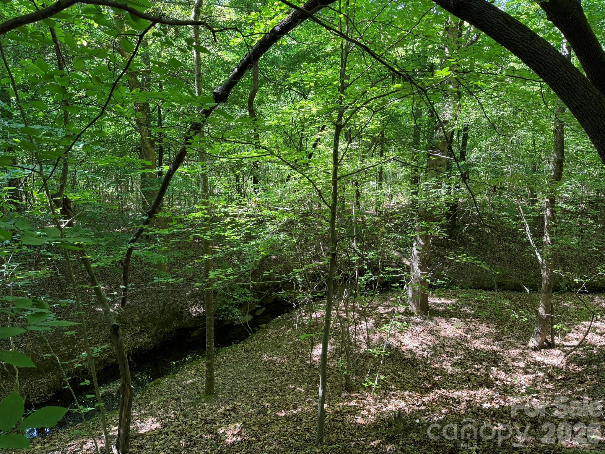 382 Alexis High Shoals Road Dallas, NC 28034 - Photo 37 of 43