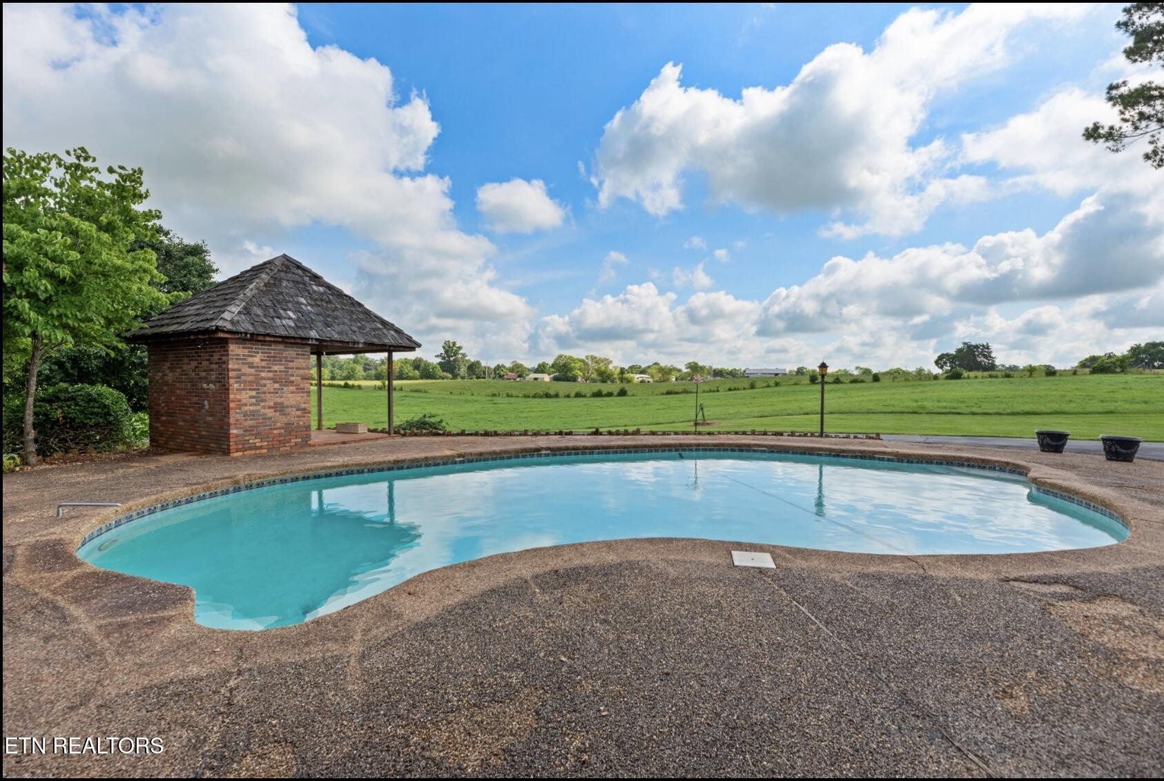 571 Calhoun Drive Greenback, TN 37742 - Photo 9 of 44 a view of pool with a yard
