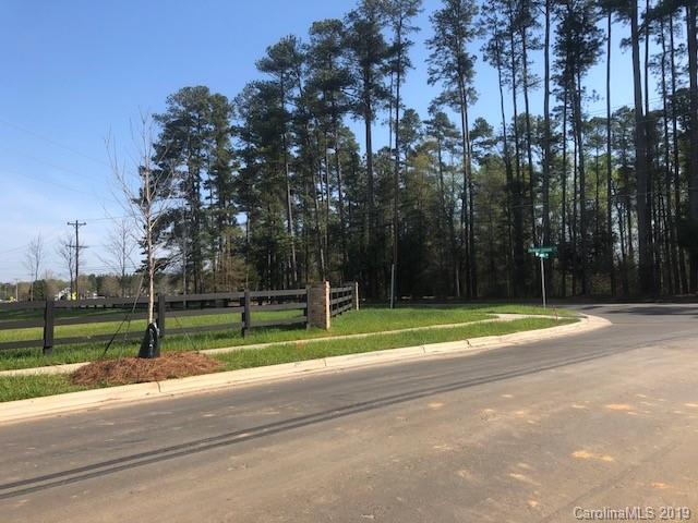 13349 Caite Ridge Road, Unit 176 Davidson, NC 28036 - Photo 3 of 5 Gallery Image 3