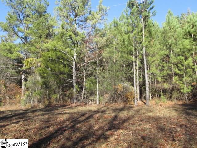 198-24 Rabon Road Laurens, SC 29360 - Photo 1 of 3