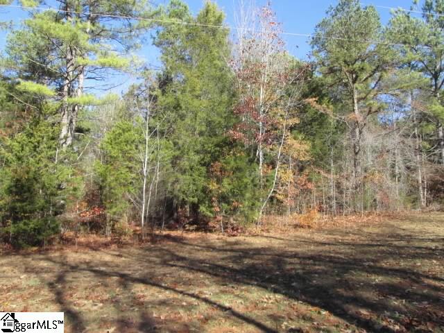198-24 Rabon Road Laurens, SC 29360 - Photo 3 of 3