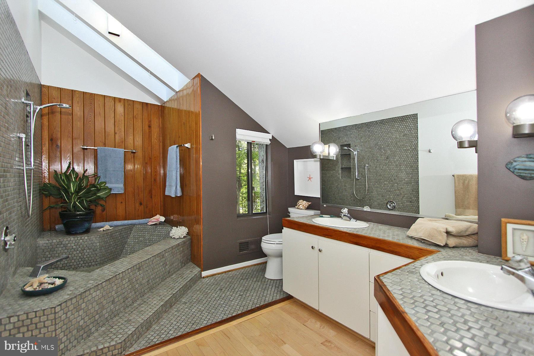 1606 North Village Road Reston, VA 20194 - Photo 17 of 28 Bath (Master)