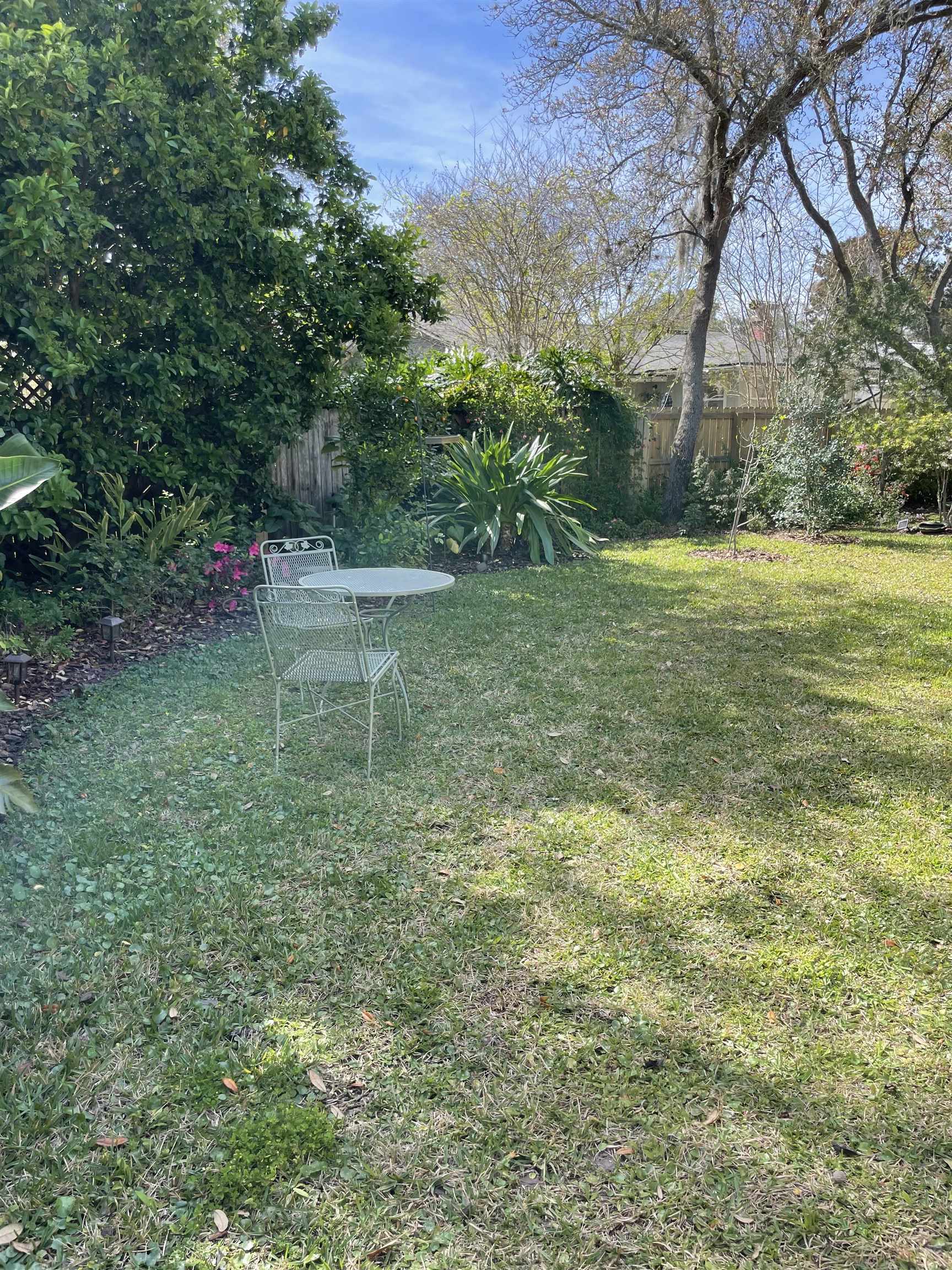 222 Bonita Road St. Augustine, FL 32086 - Photo 34 of 46 a backyard of a house with lots of green space