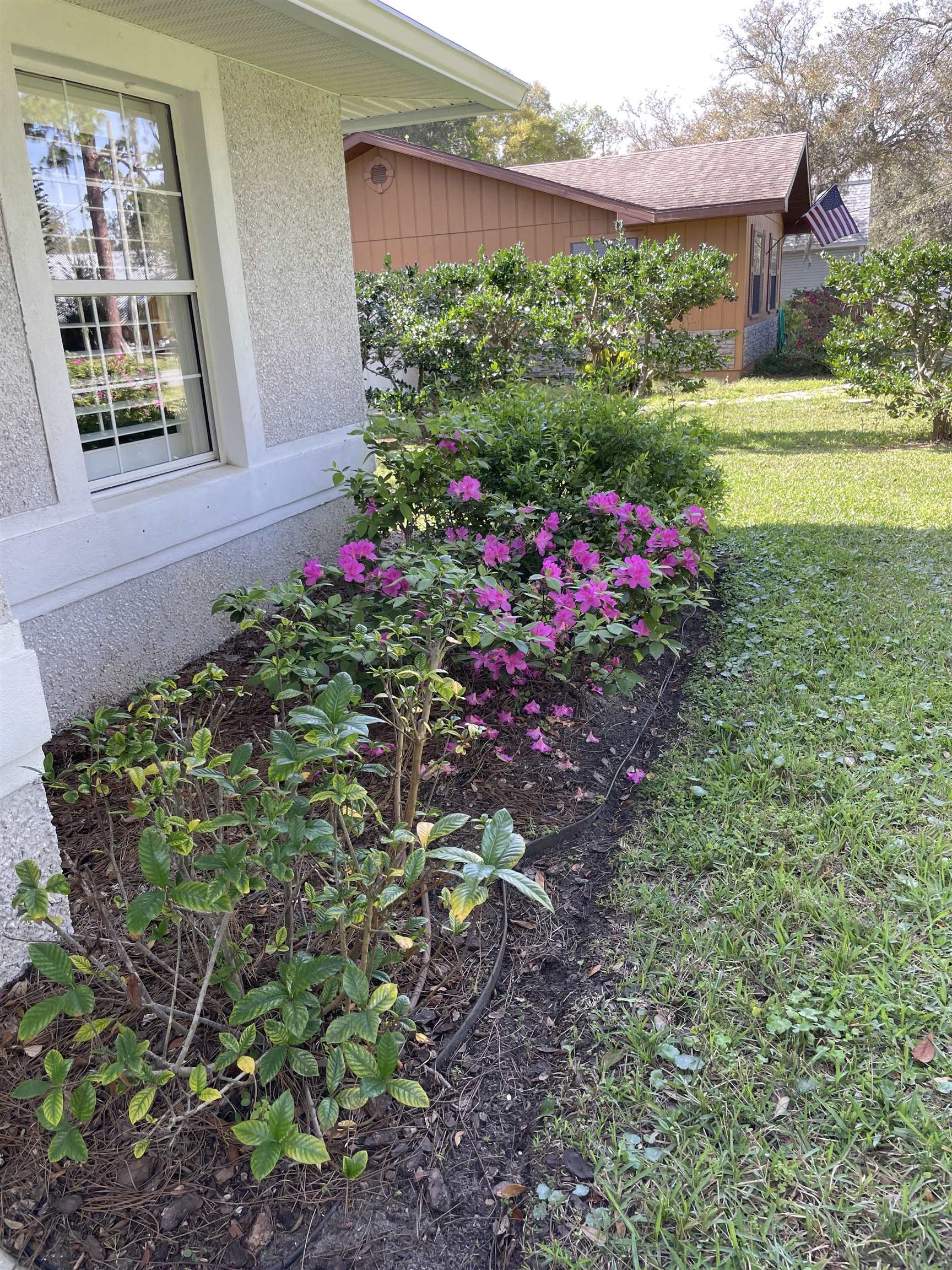 222 Bonita Road St. Augustine, FL 32086 - Photo 6 of 46 a view of a flower in a garden