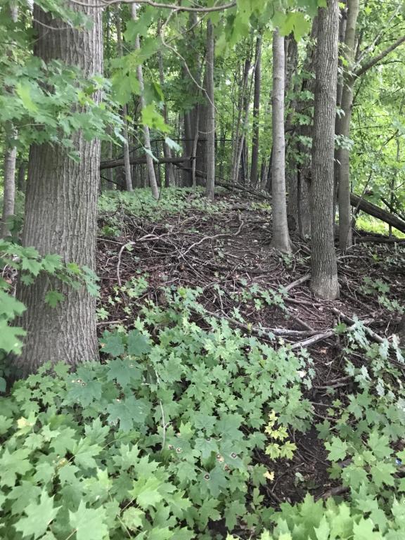0 West State Road Hastings, MI 49058 - Photo 1 of 1 20190926135920677265000000-o