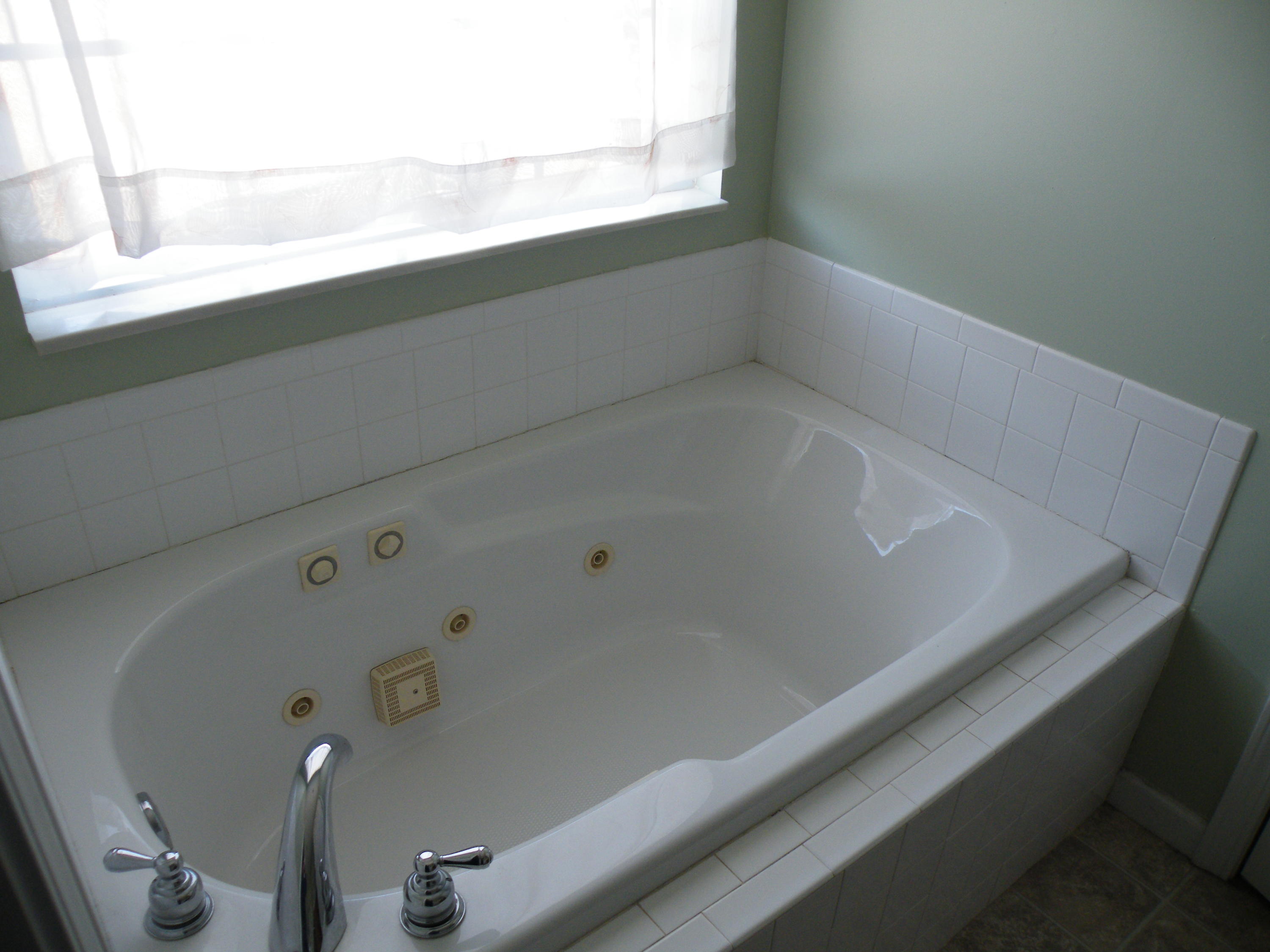 4962 Morganton Road Greenback, TN 37742 - Photo 13 of 15 Whirlpool bath in master bath