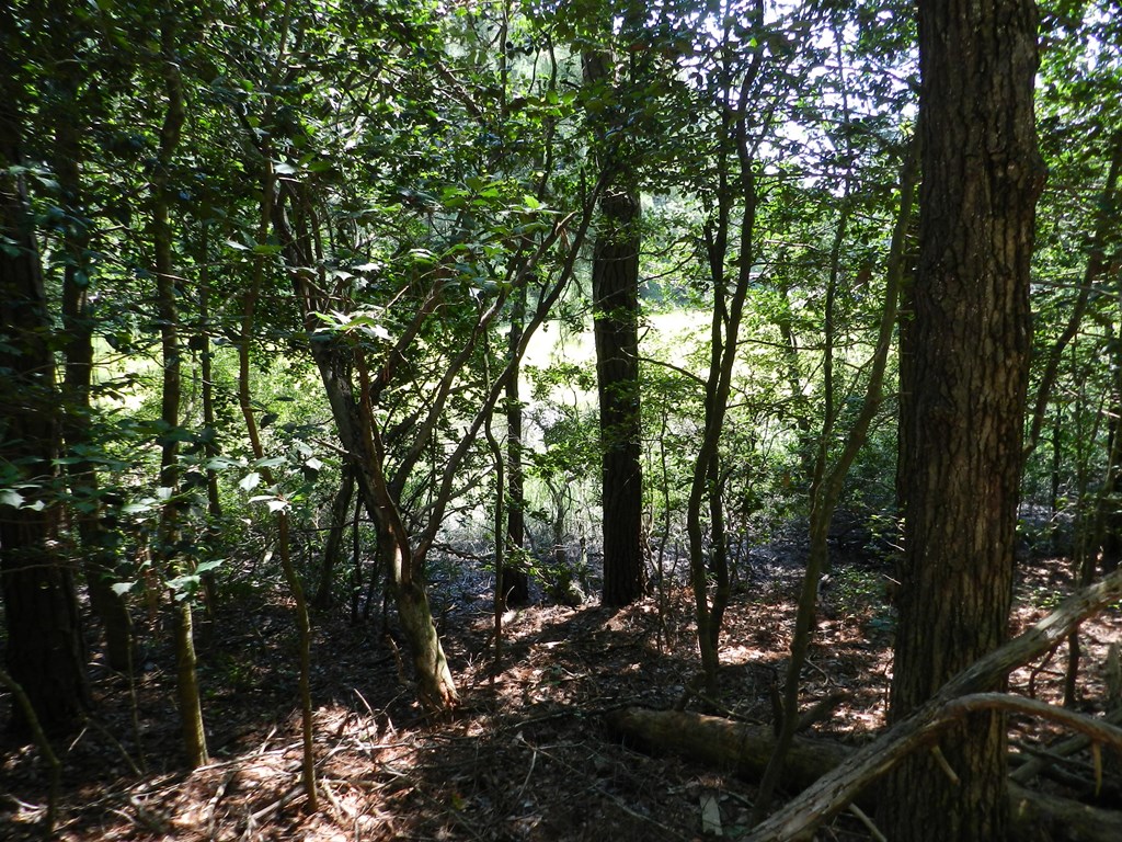 Lot B6 Saltworks Road, Unit B6 Exmore, VA 23350 - Photo 18 of 28