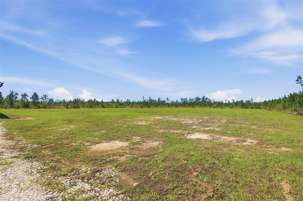 206 Alston Cemetery Road Dequincy, LA 70633 - Photo 23 of 25