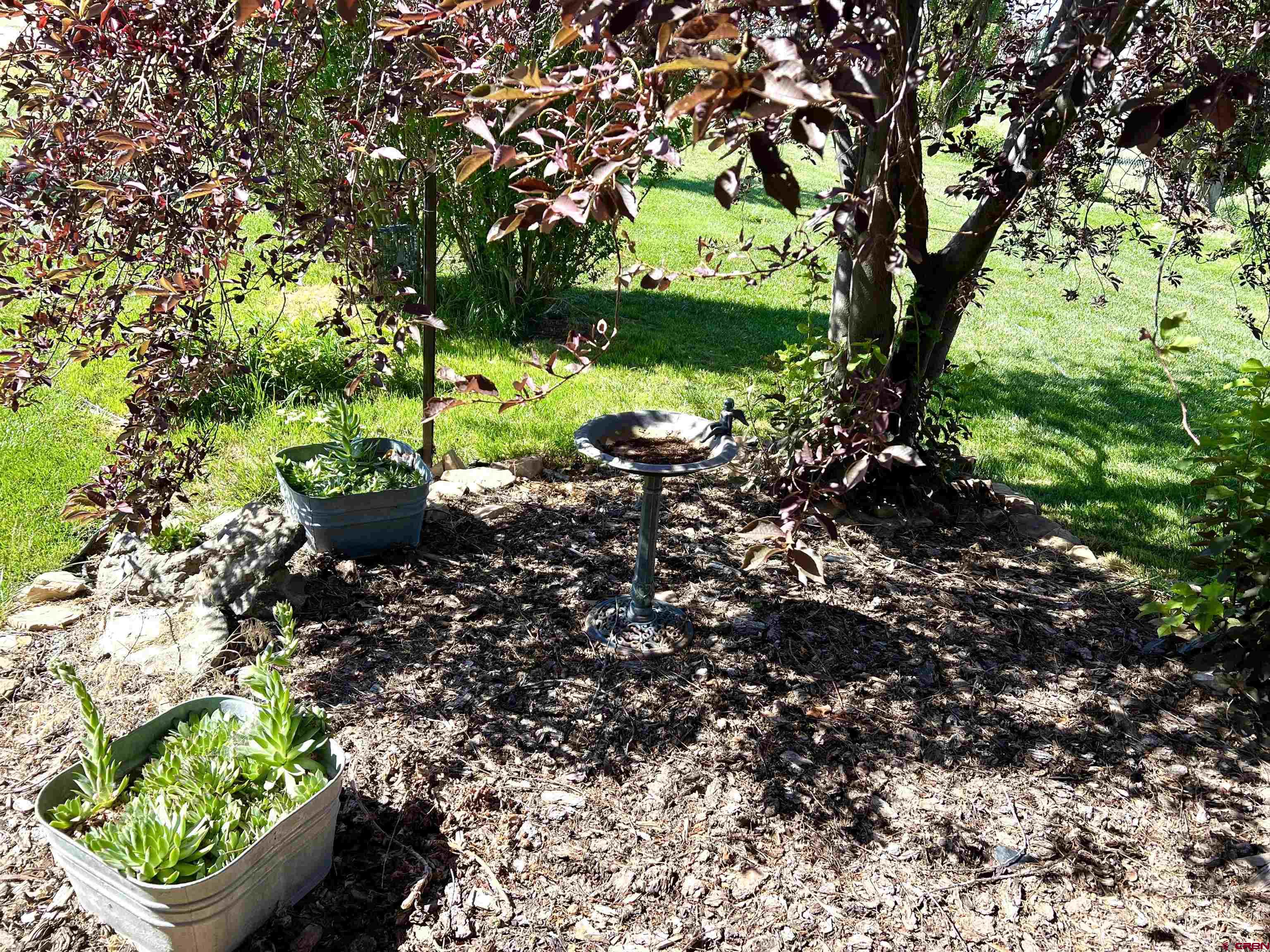21179 Rd C.6 Cortez, CO 81321 - Photo 21 of 33 a view of a garden with plants