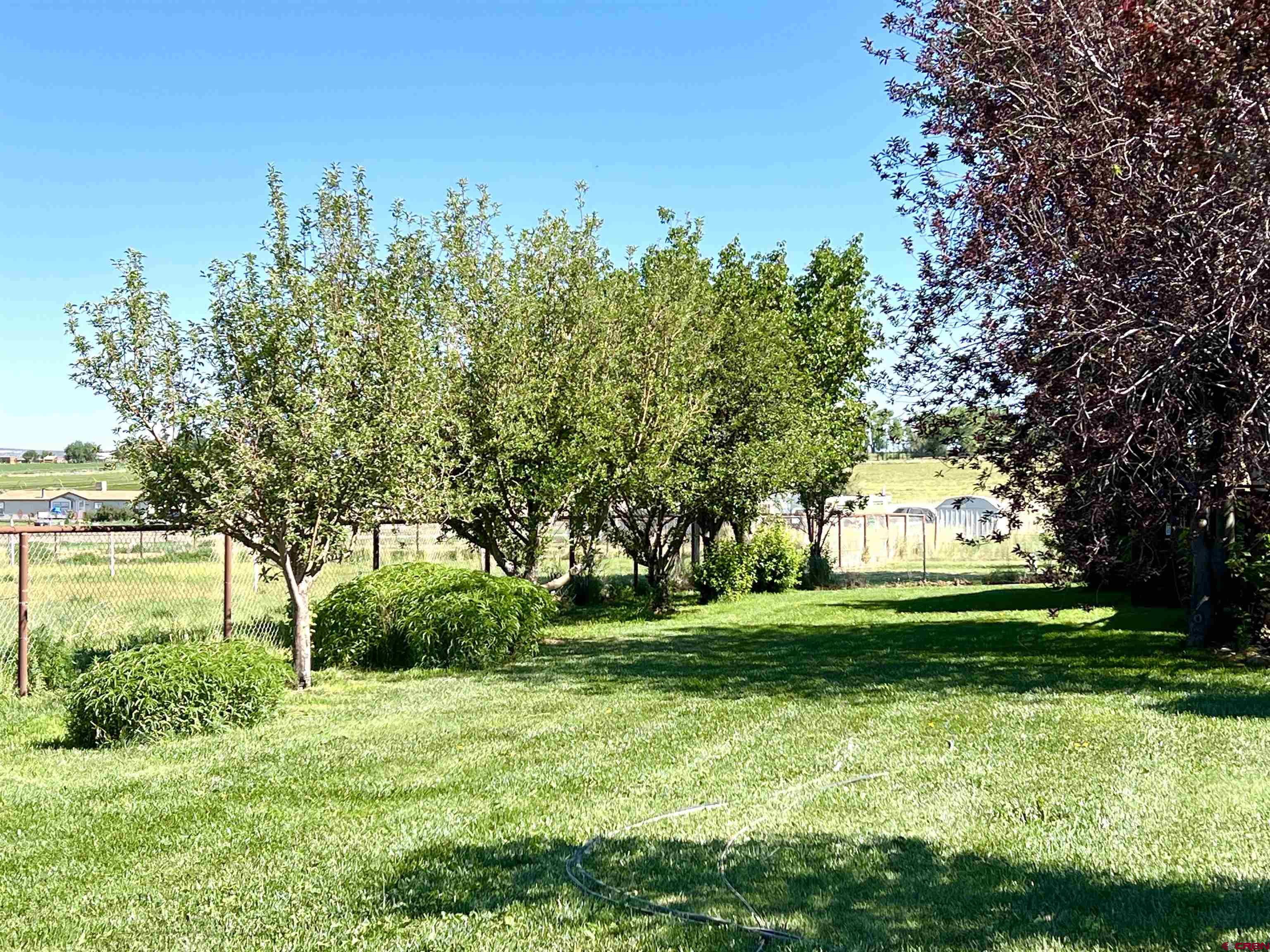21179 Rd C.6 Cortez, CO 81321 - Photo 25 of 33 a view of a trees in front of a house